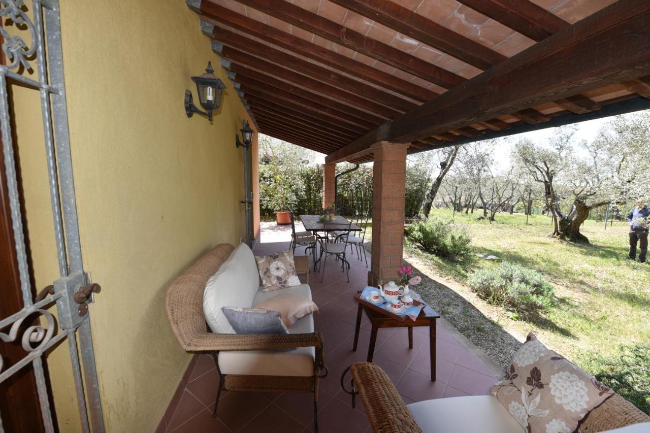 Case&Colline Villa Laura Montescudaio Eksteriør bilde